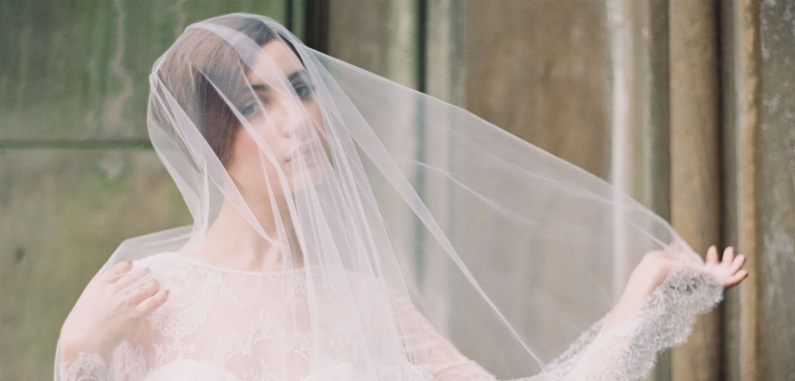 Bride wearing wedding veil. Desktop Image